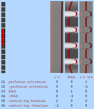 perfusion model